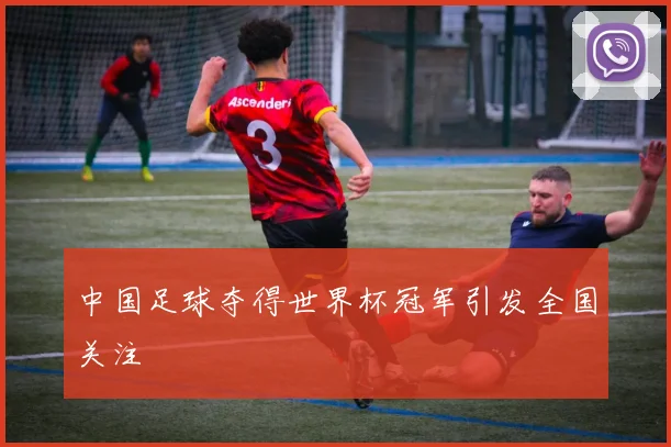 中国足球夺得世界杯冠军引发全国关注