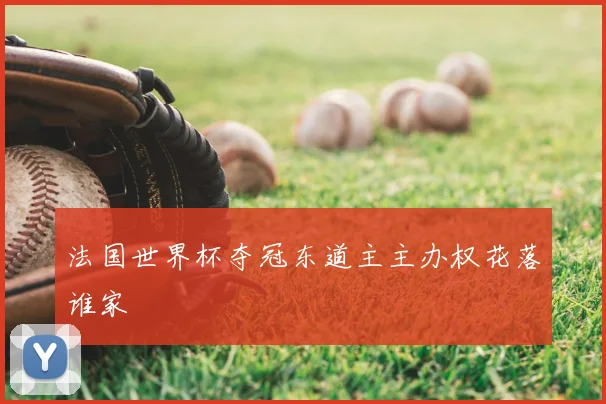 法国世界杯夺冠东道主主办权花落谁家