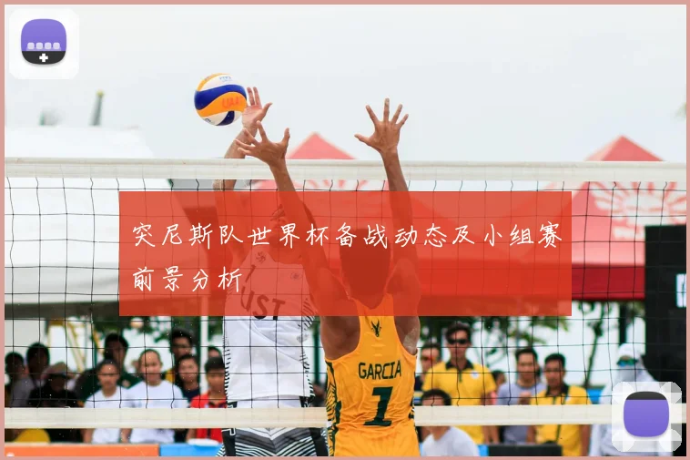 突尼斯队世界杯备战动态及小组赛前景分析