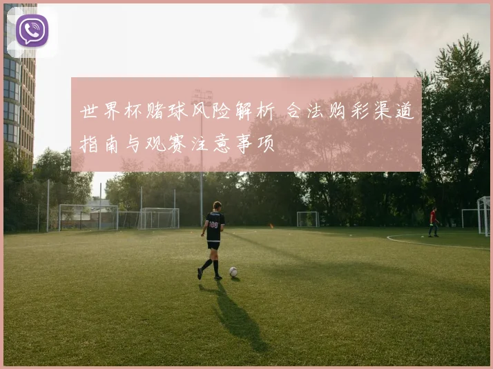 世界杯赌球风险解析 合法购彩渠道指南与观赛注意事项