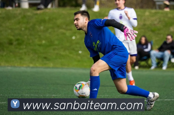 亚搏app注册官网APP 封面图